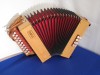 Castagnari Studio D-G button accordion